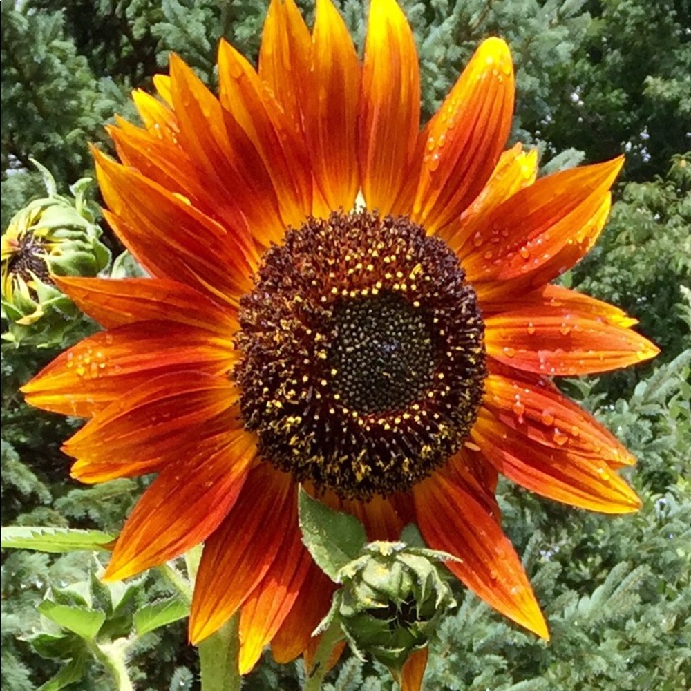 Meet your Posher, Linda